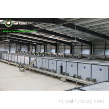 Topkwaliteit van Yunnan Walnut Kernels Light Quarters